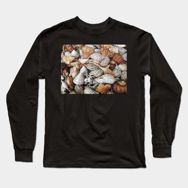 Sea Shells Long Sleeve T-Shirt by AlexaZari